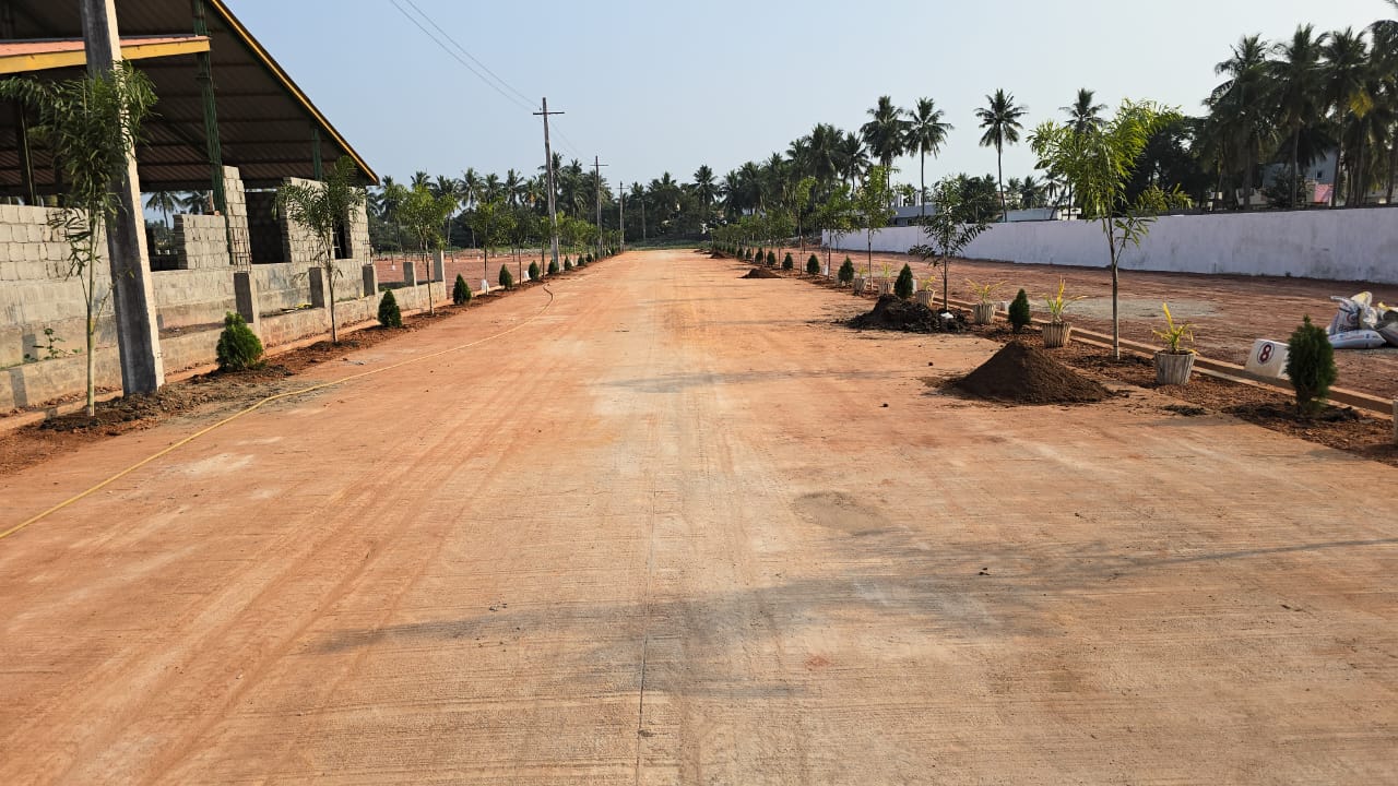 Srinarayani